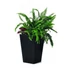 Kép 1/3 - Rattan planter S virágtartó grafit