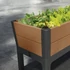 Kép 5/5 - Darwin garden bed rpo műanyag kerti virágláda whiskey barna