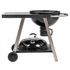 Kép 6/10 - MIR709 Faszenes grill polccal és kerekekkel 56 cm